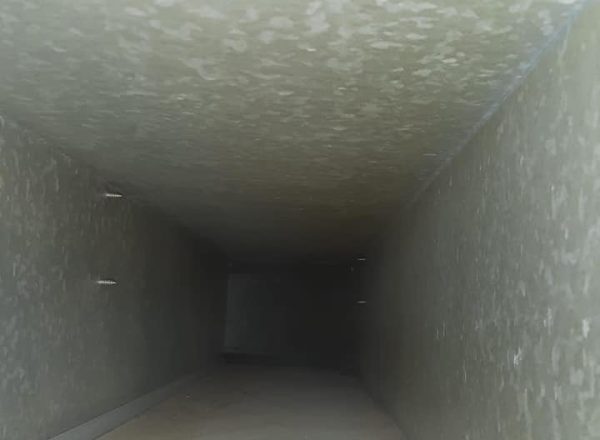 119748099_127798155716006_1751243598815949926_n