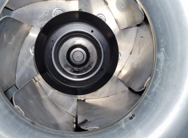 470235736_1093569442472201_3038671566062285248_n