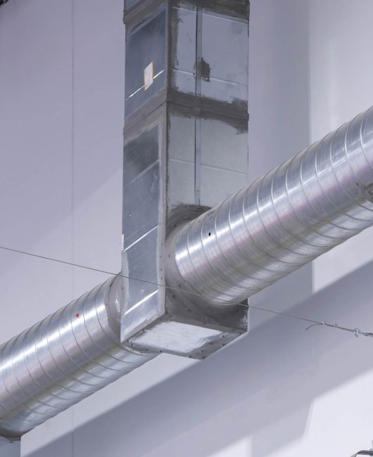 AdobeStock_1221162899